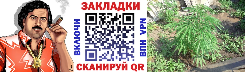 Купить наркотик Богородск КОКАИН  Codein  Альфа ПВП  АМФ  Марихуана  Меф 