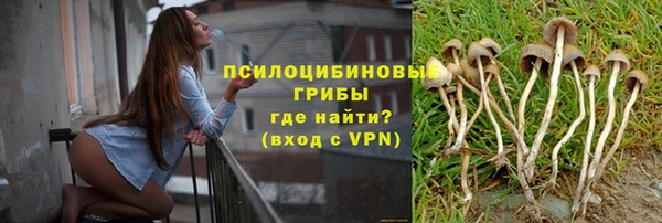 spice Богданович