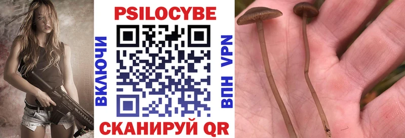 ОМГ ОМГ вход  Богородск  Псилоцибиновые грибы прущие грибы 